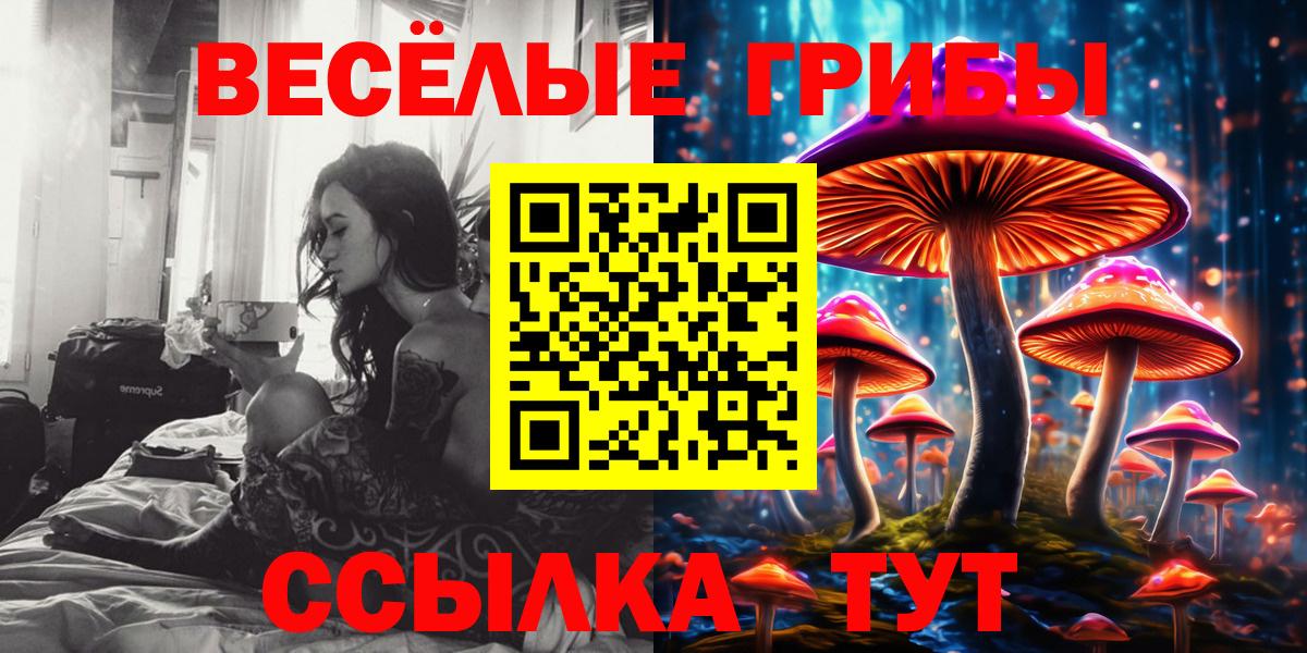 Острогожск  Галлюциногенные грибы мухоморы  Вход с VPN 